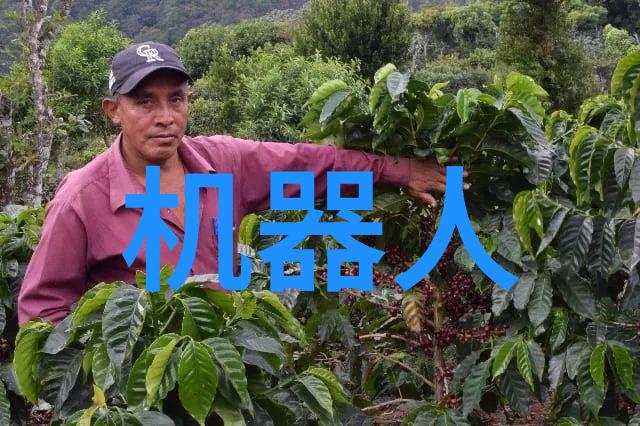 江南制药之梦与机器的呼啸