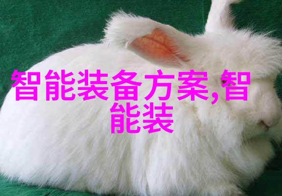 商品与服务的交汇处市场的奇妙世界
