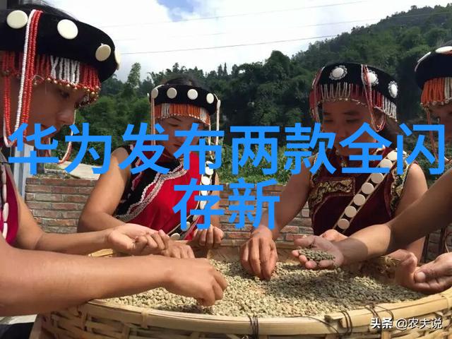 知识就是力量吗探索芯片解密公司的影响力