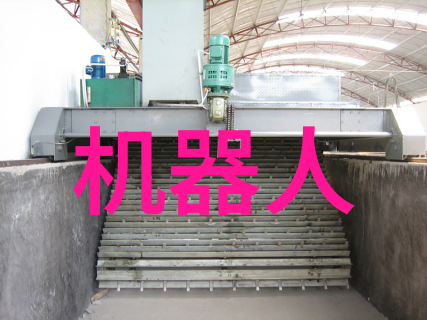瑜伽精英激荡的瑜伽教练
