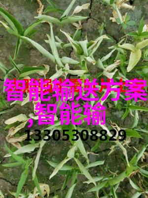 如何确保固体药品检测结果的准确性和可靠性
