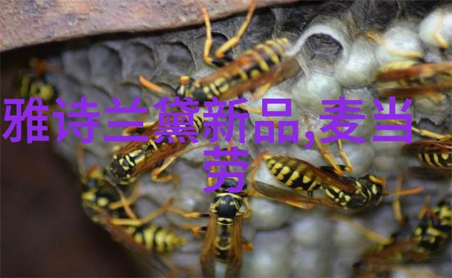 不锈钢斜管填料厂家剖析流线的诗意与坚韧