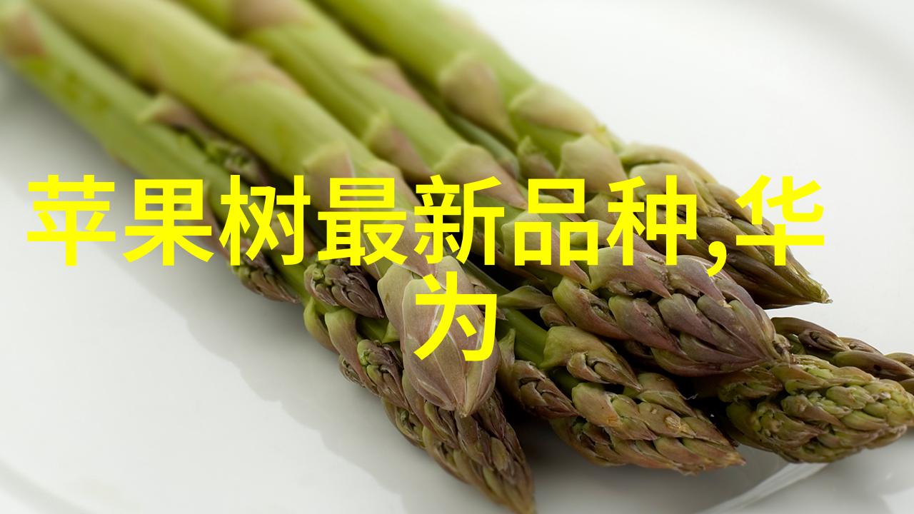 智能动态输送系统探索与优化