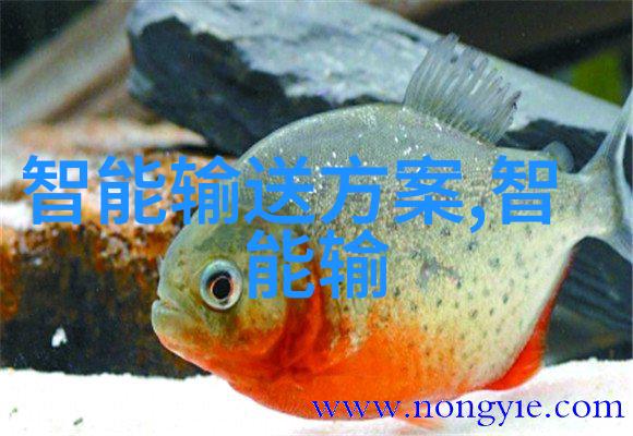 现代家居美学的新宠不锈钢装饰元素的魅力探索