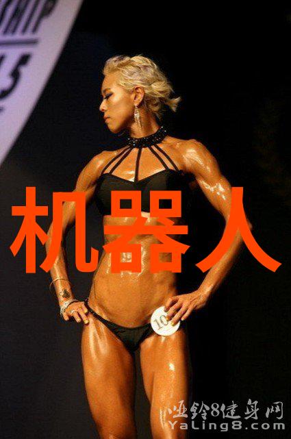 传统与现代对比哪种类型的破碎机更受欢迎