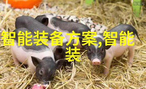 回收二手机械设备我是机修工你问我怎么处理旧的破损的机械设备别急我来告诉你一个好办法我们可以把它们捐赠