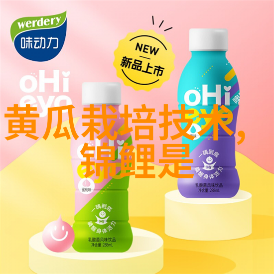 dn50鲍尔环工业管道连接的强大伙伴