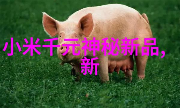 广西财经学院金钱的画卷与数字的诗篇