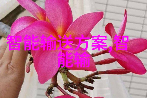 父子之间的亲密之路如何处理儿子的过度亲昵