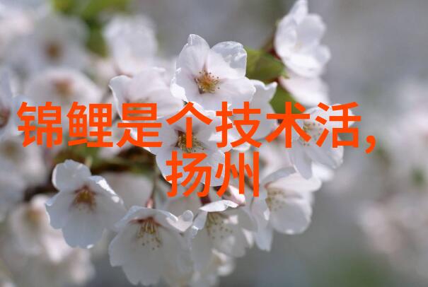 数据报告分析中常见的误解有哪些需要避免