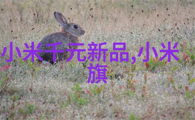 输送机设备-高效物流解决方案揭秘输送机设备的运作原理与应用场景