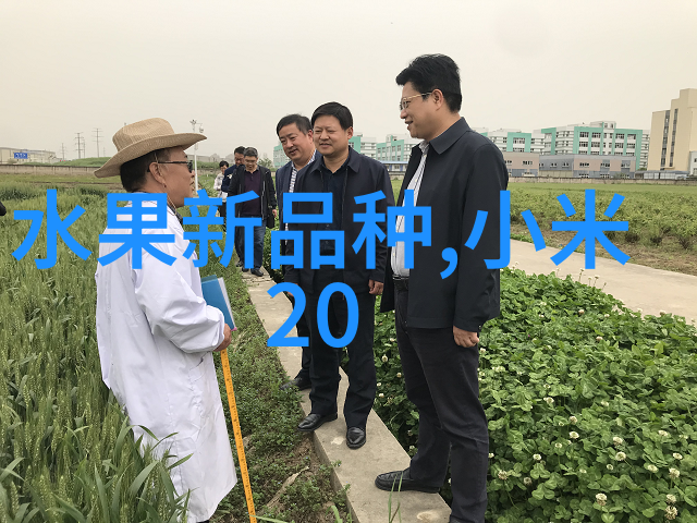主题我来帮你看看这ppr管材型号一览表吧
