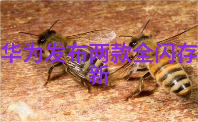 在设计一个高效能工业室内外墙面涂料生产线时需要注意哪些关键点