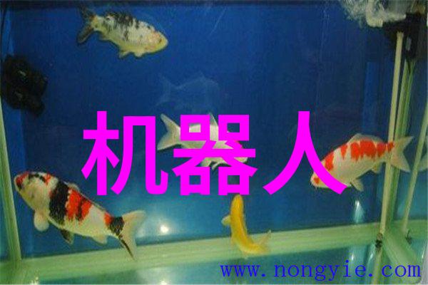 随着技术进步传统风力或机械提升机是否仍然是首选选择
