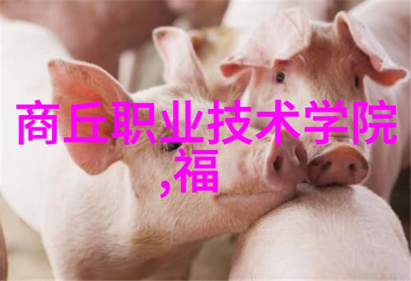 社区中开展回收二手反应釜活动应注意什么因素