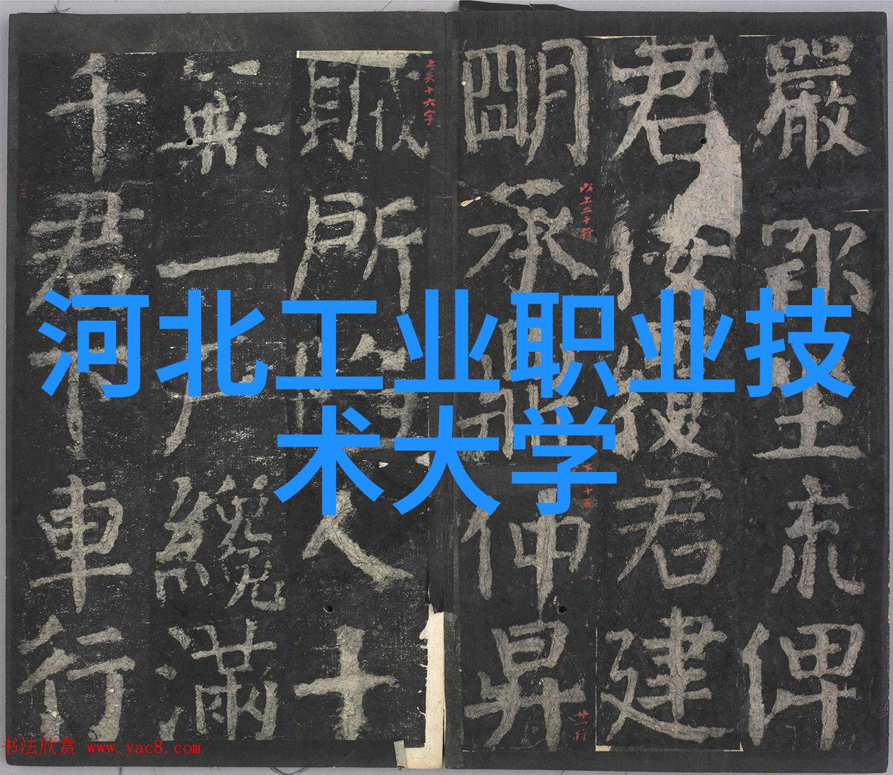 大连财经学院大连市的高等财经教育与研究中心