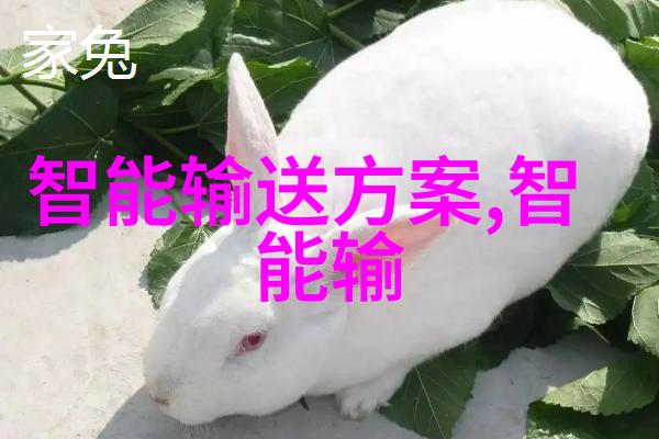 往复泵的节奏理解旋转泵的运作原理与应用广度