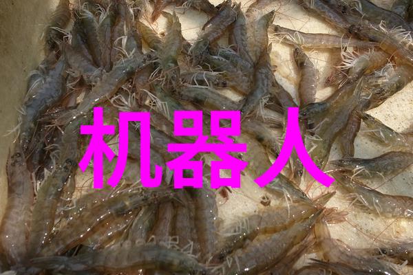 小米2017新品发布会我的心跳加速揭秘MIIX平板与Mi Box 4K的双重震撼