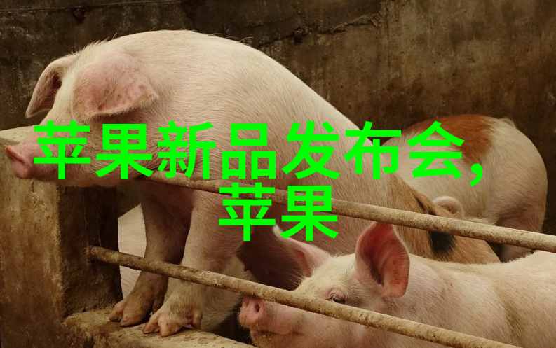 发给女生的暖心话甜甜的 三八节最美问候短信祝福语