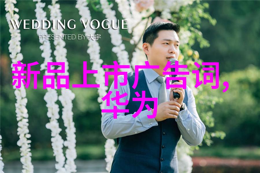 尘埃中的秘密揭开布袋除尘器堵灰的真相