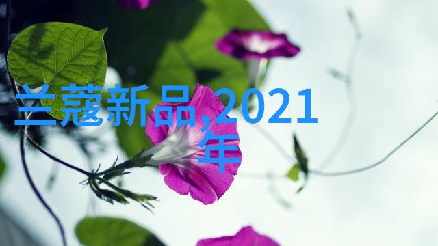 政策导向科技成果转化促进中小企业在国内外市场竞争力的提升