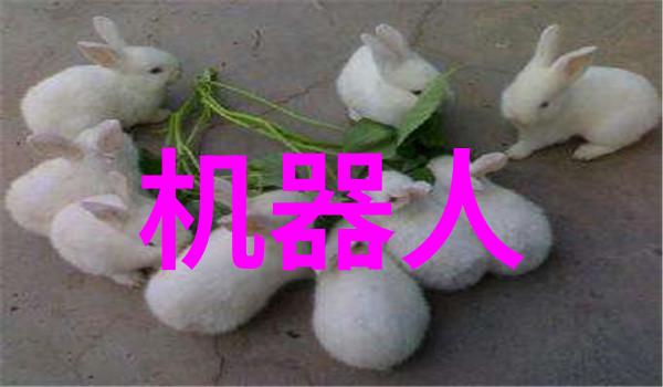 不锈钢容器罐我的厨房小伙伴
