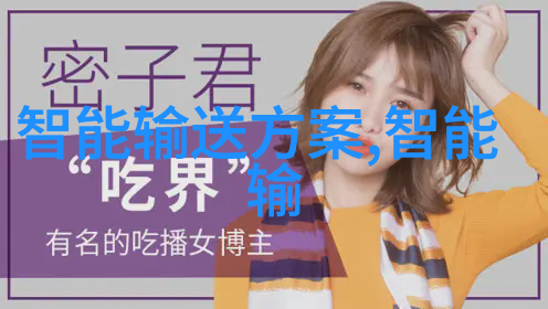 金属之心不锈钢卫生泵的坚韧守护