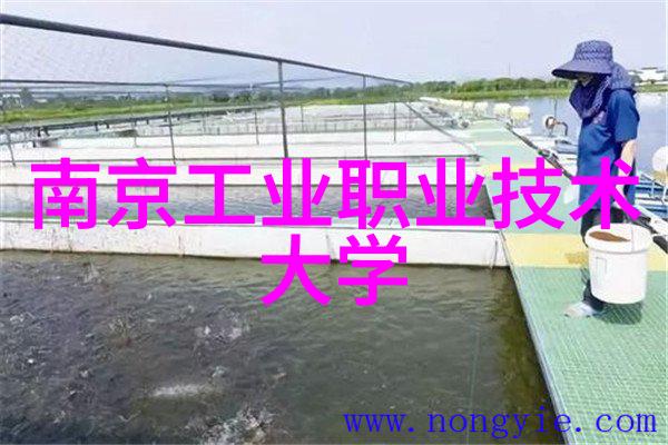 榴莲色斑一段忘返的旅程