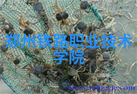 临沂pvc管材厂家的电话找到了吗