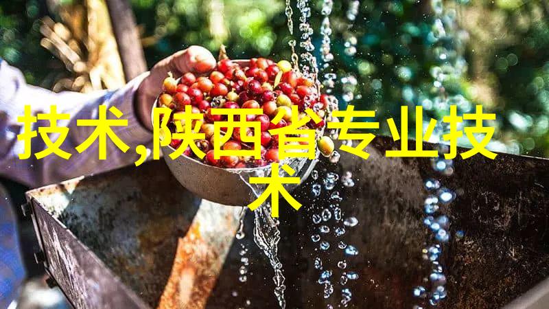 广东职业技术学院赌注重于雷军格力芯片的成功数据分析
