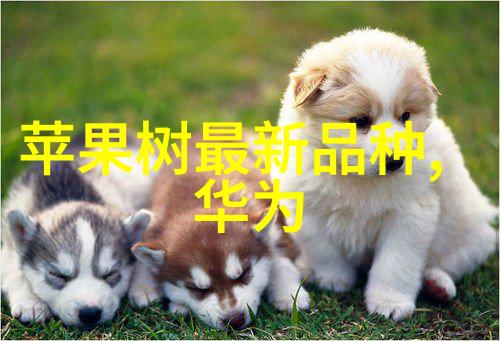 螺旋式输送机旋转革命的物流解决方案