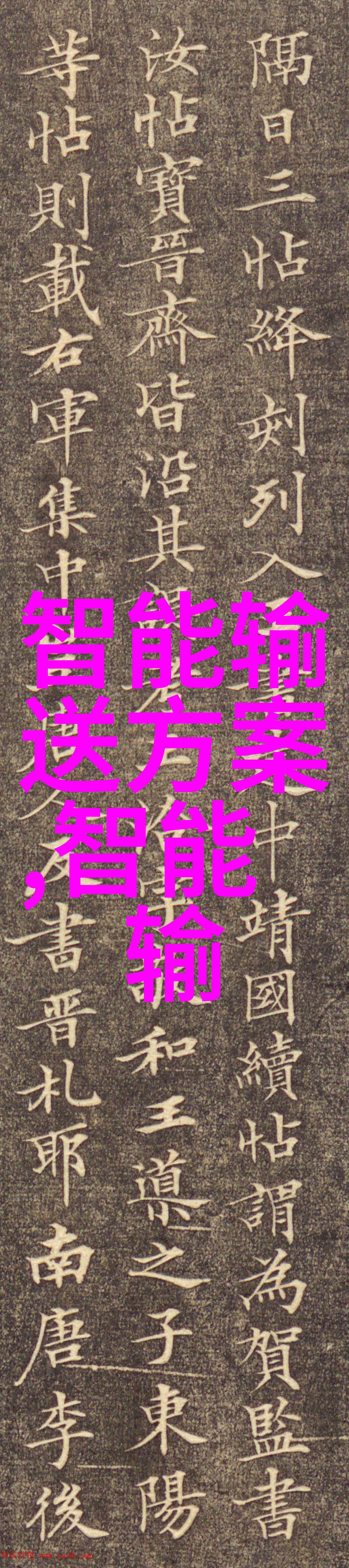 金牛城堡与数码森林西南财经大学的隐秘双重生活