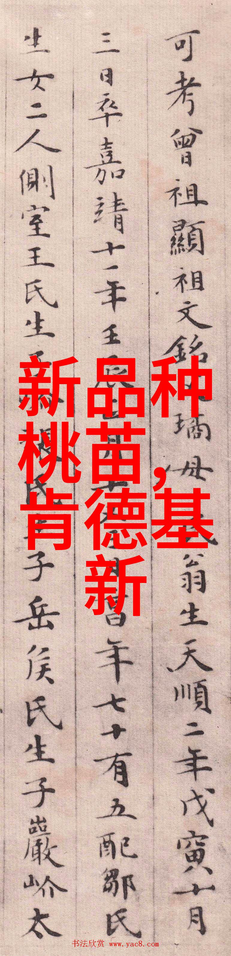 奇幻冒险-穿越云端天空之城 国语版的无限可能