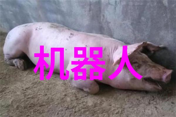 垃圾变宝危废处置第三方服务公司的奇妙征程