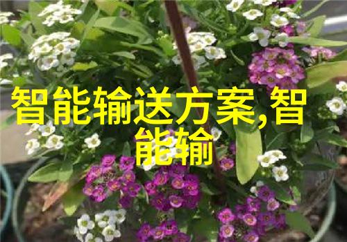机智之眼视觉探索的无限前沿