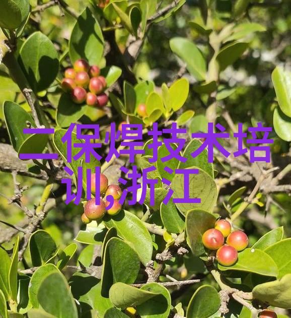 独白之眼一人的www视频动漫版探索