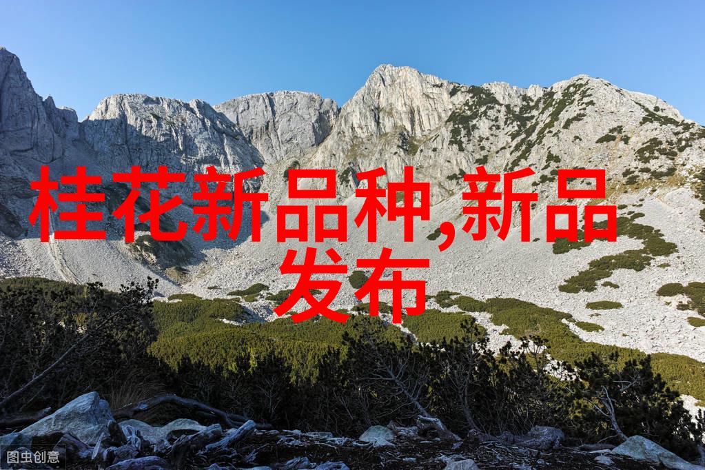 成熟男人的隐私观JEALOUSVUE50的深度探究