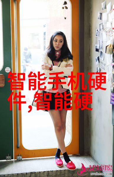 国际合作如何影响中国的芯片法案实施