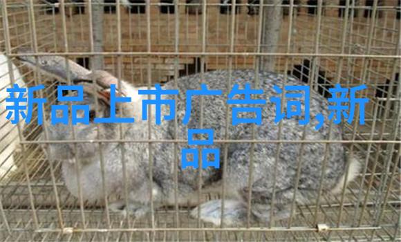 反应釜分类老实说这事儿得分清甲类乙类