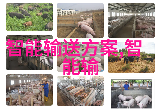 在疫情防控中加强实验室管理new hua vacuum pressure steam sterili