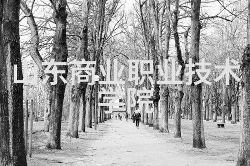 智能时代的领航者世界上最聪明机器人的奇迹