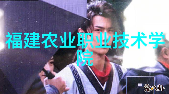 锤子新品发布会我亲眼见证了革命性的变化