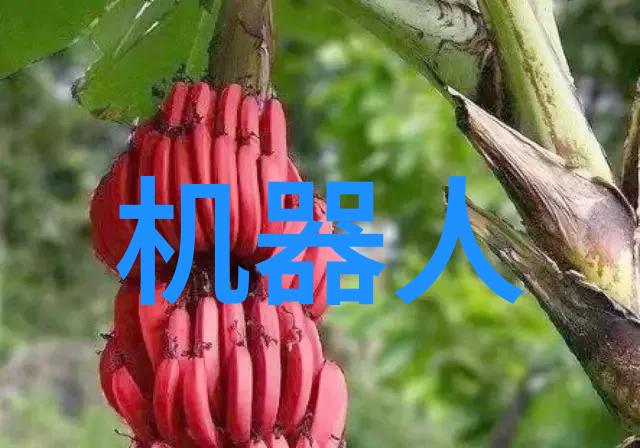 了解PE管材生产厂家的电话您的选择是我们的责任