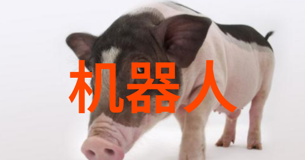 上海财经大学 - 复兴金融智囊团探索上海财经大学在新时代经济学研究中的角色与影响