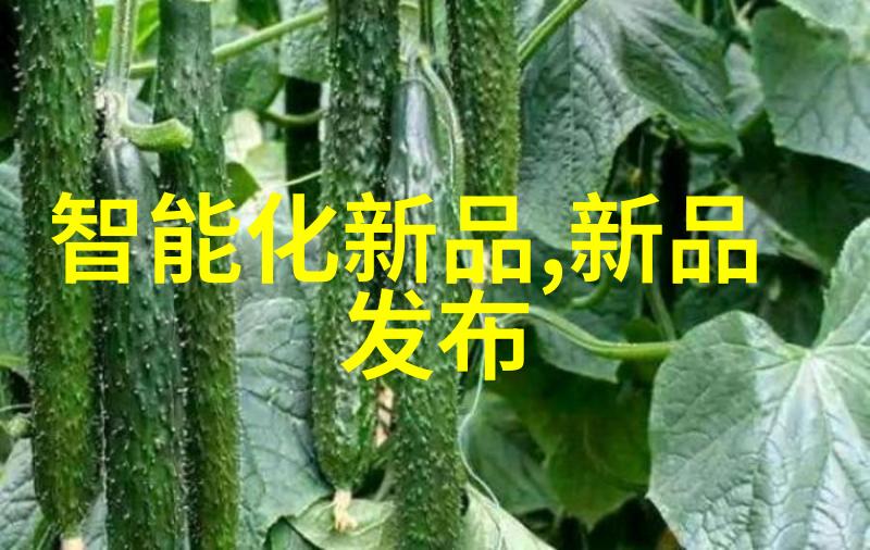 智网引擎大连交通之翼
