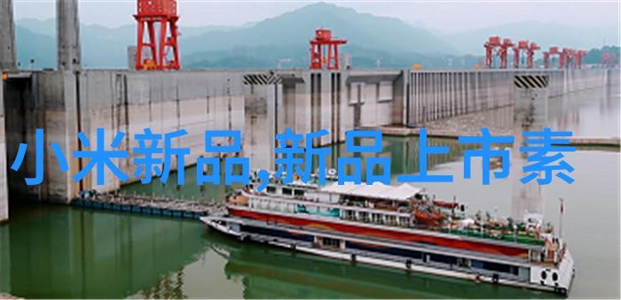 电蒸汽发生器蒸箱-高效能电蒸汽发生器与其应用中的关键技术与挑战