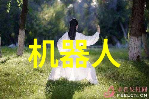 市场反弹何去何从专家解读今日股市走势