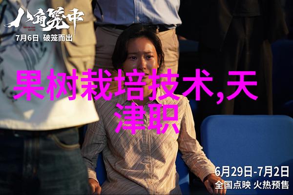 密码安全的守护者商用应用的隐秘试炼