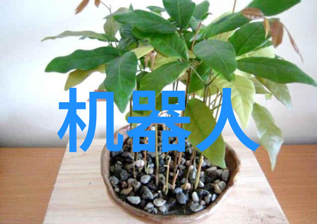 化学反应器的基本结构组成化学反应器的设计原理