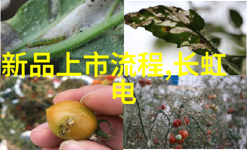 逆袭的应用商店从无名小户到霸主之路